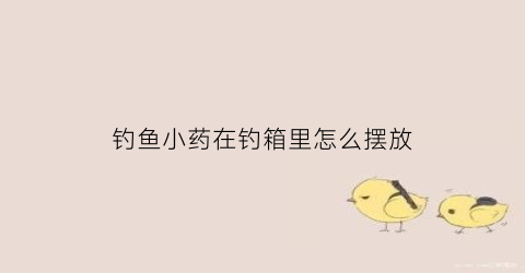 钓鱼小药在钓箱里怎么摆放(钓鱼小药能放冰箱保存吗)