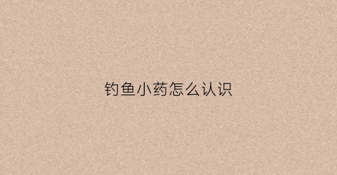 钓鱼小药怎么认识