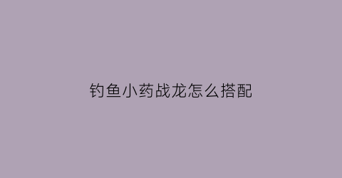 钓鱼小药战龙怎么搭配