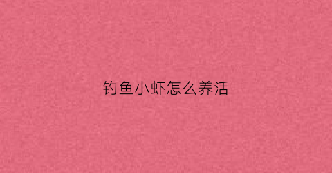 钓鱼小虾怎么养活