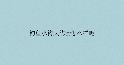 钓鱼小钩大线会怎么样呢(钓鱼小钩大线会怎么样呢)