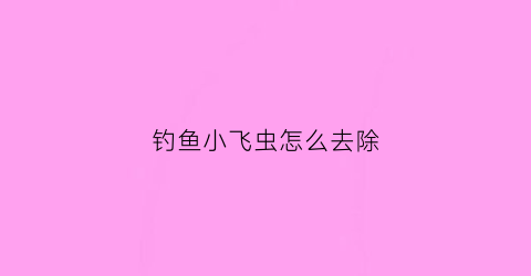 钓鱼小飞虫怎么去除(钓鱼小虫子)