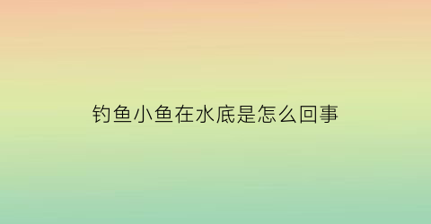 钓鱼小鱼在水底是怎么回事(钓鱼钓到小鱼)