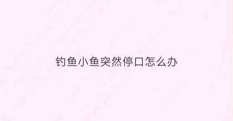 钓鱼小鱼突然停口怎么办(野钓突然停口)