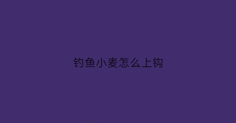 钓鱼小麦怎么上钩(钓鱼小麦怎么上钩视频)