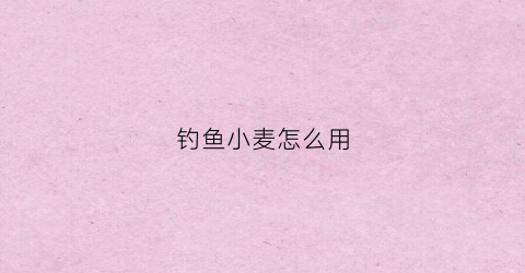 钓鱼小麦怎么用(用小麦钓鱼视频)