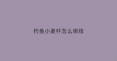 钓鱼小麦杆怎么绑线