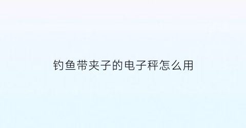 钓鱼带夹子的电子秤怎么用(家用电子钩秤)