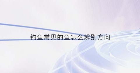钓鱼常见的鱼怎么辨别方向(钓鱼常见的鱼怎么辨别方向视频)