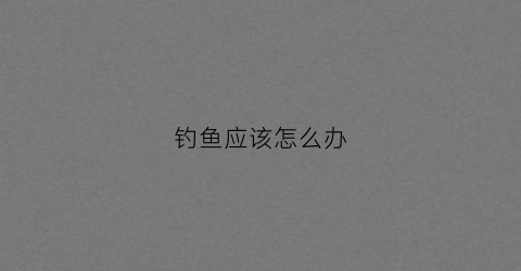钓鱼应该怎么办(钓鱼应该怎么办才好钓)