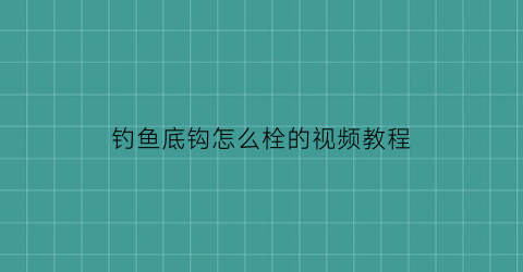 钓鱼底钩怎么栓的视频教程(钓鱼钓底钩子到什么位置好)
