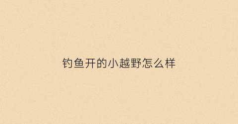 钓鱼开的小越野怎么样(越钓越野视频大全)