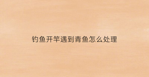 钓鱼开竿遇到青鱼怎么处理(手竿钓青鱼)
