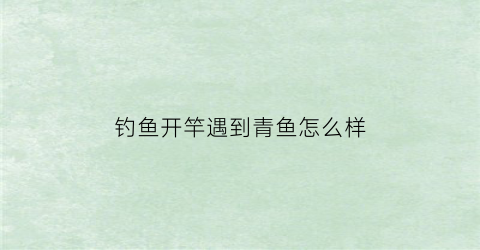 钓鱼开竿遇到青鱼怎么样(钓青鱼的杆子)