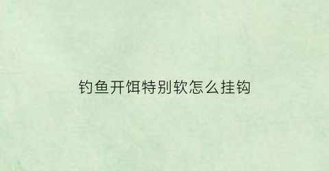 钓鱼开饵特别软怎么挂钩(饵料开软了怎么办)