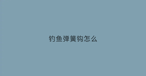 钓鱼弹簧钩怎么(弹簧钩怎么样)