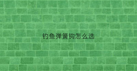 钓鱼弹簧钩怎么选(弹簧钩钓法)