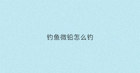 钓鱼微铅怎么钓(微铅钓法线组)
