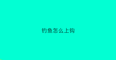 钓鱼怎么上钩(钓鱼怎么上钩的)
