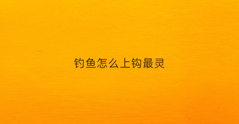 钓鱼怎么上钩最灵(钓鱼怎么上钩最灵活)