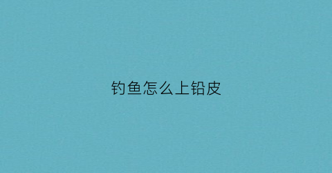钓鱼怎么上铅皮(钓鱼怎么上铅皮炮)