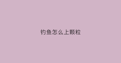 钓鱼怎么上颗粒(野钓颗粒怎么挂)