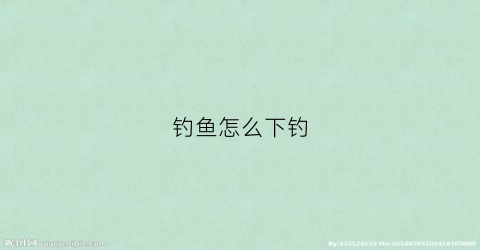 钓鱼怎么下钓(钓鱼怎么钓钝)