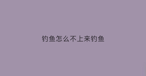 钓鱼怎么不上来钓鱼(钓鱼不上鱼是怎么回事)
