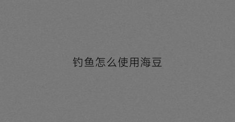 钓鱼怎么使用海豆(海钓豆怎么安装)