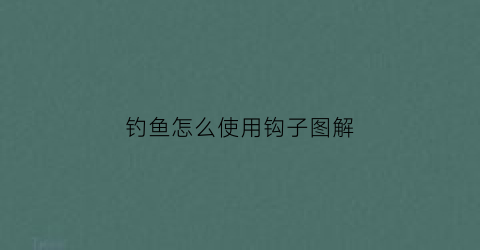 钓鱼怎么使用钩子图解(钓鱼如何用鱼钩)