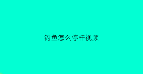 钓鱼怎么停杆视频