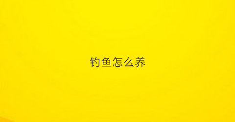 钓鱼怎么养(钓鱼怎么养窝子)