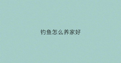 钓鱼怎么养家好(钓鱼怎么养活)