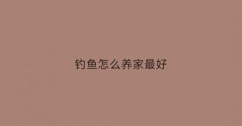 钓鱼怎么养家最好(钓鱼怎么养活)