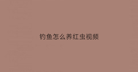 钓鱼怎么养红虫视频(钓鱼红虫养殖方法)