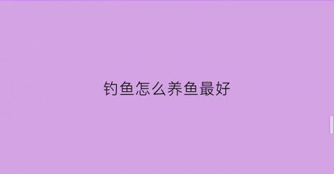 钓鱼怎么养鱼最好(钓鱼怎么养鱼最好视频)