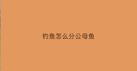 钓鱼怎么分公母鱼