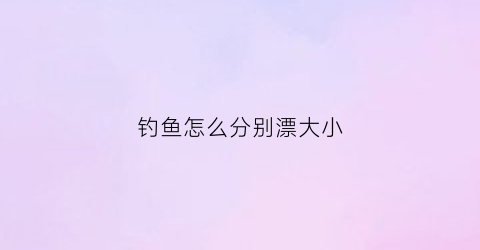 钓鱼怎么分别漂大小