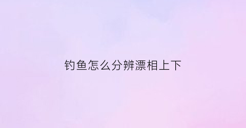 钓鱼怎么分辨漂相上下