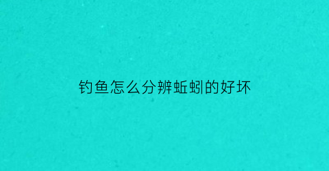 “钓鱼怎么分辨蚯蚓的好坏(怎么判断蚯蚓的公母)