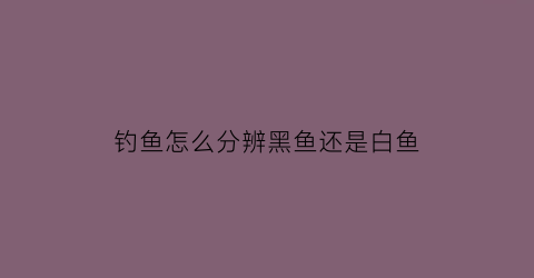 “钓鱼怎么分辨黑鱼还是白鱼(怎么看是不是黑鱼)