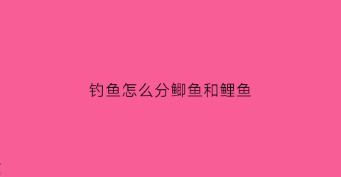 钓鱼怎么分鲫鱼和鲤鱼(怎么分辨鲫鱼跟鲤鱼)