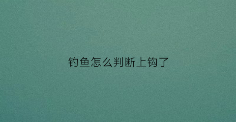 钓鱼怎么判断上钩了(怎么知道上钩到底)