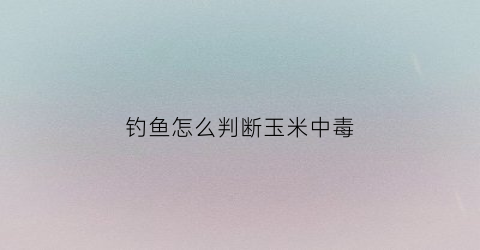 “钓鱼怎么判断玉米中毒(玉米钓鱼怎么看漂)