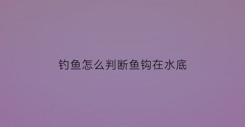 钓鱼怎么判断鱼钩在水底