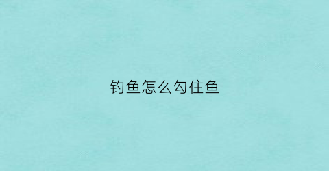 钓鱼怎么勾住鱼(钓鱼勾住鱼的哪里)