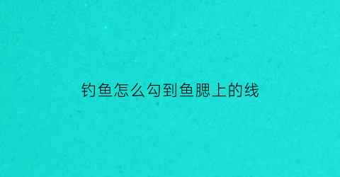 钓鱼怎么勾到鱼腮上的线(钓鱼怎么勾到鱼腮上的线呢)