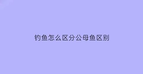 钓鱼怎么区分公母鱼区别