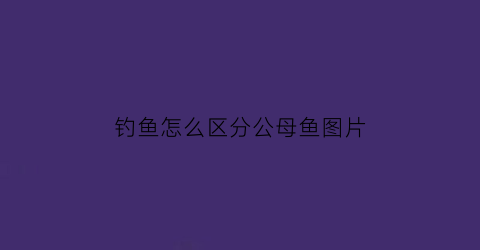 “钓鱼怎么区分公母鱼图片(钓鱼怎么区分公母鱼图片视频)