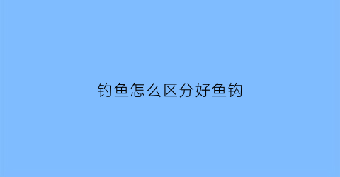 钓鱼怎么区分好鱼钩(怎样辨别鱼钩的号数)